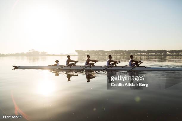 mixed race rowing team training on a lake at dawn - konzepte und themen stock-fotos und bilder