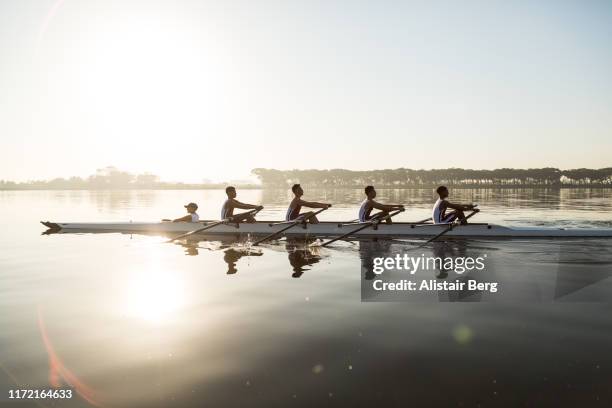 mixed race rowing team training on a lake at dawn - deporte equipo fotografías e imágenes de stock