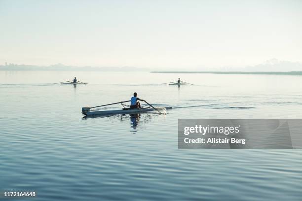 mixed race rowers sculling on lake at dawn - sculling crew stock pictures, royalty-free photos & images