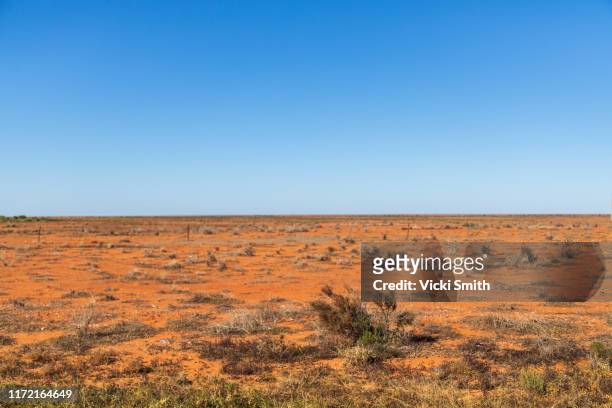 red earth, dry country landscape - australian desert bildbanksfoton och bilder