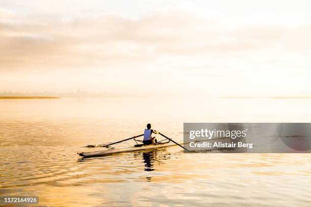 teenage mixed race rower sculling on lake at dawn - sculling stock-fotos und bilder