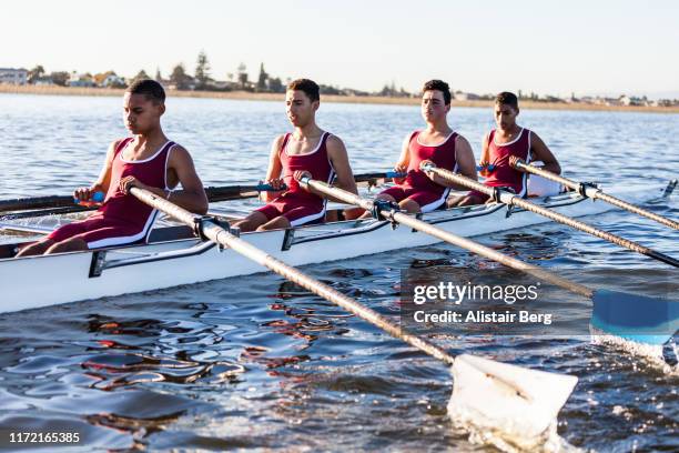 Employee Rowing Teamwork Crew Rowing Photos and Premium High Res Pictures - Getty Images