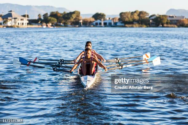 mixed race rowing team training on a lake at dawn - sculling crew stock pictures, royalty-free photos & images