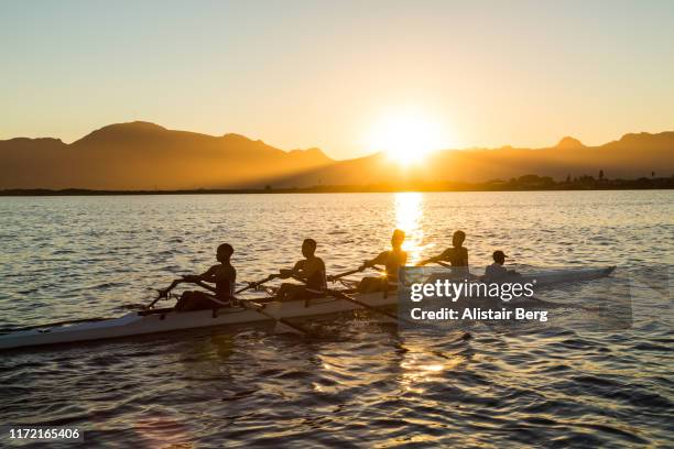 mixed race rowing team training on a lake at dawn - sculling crew stock pictures, royalty-free photos & images