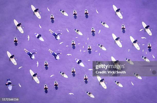 purple abstract pattern of people lying on surf boards with seagulls flying - fashion photography stock-fotos und bilder