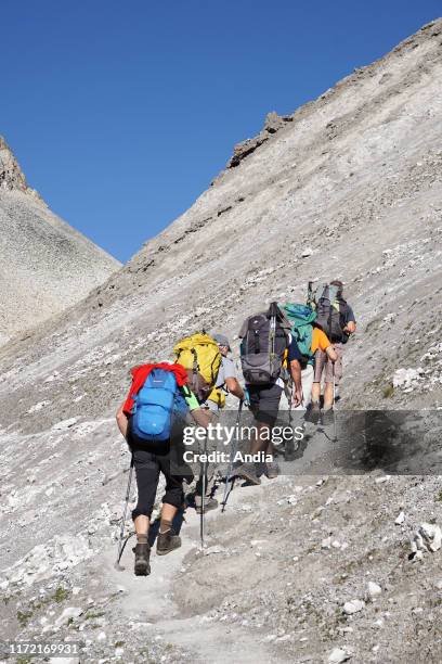 Pralognan-la-Vanoise : group of five hikers walking towards the 'Col du Souffre' pass in the Vanoise National Park. Group of five men with backpacks,...