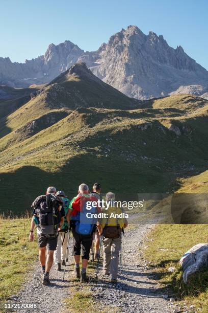 Courchevel : group of hikers and their guide in the Avals Valley, in the Vanoise National Park. Group of five men with backpacks, walking poles and...