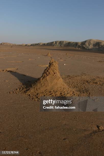 sand dunes on a beach made by fiddler crabs - fiddler crab stock pictures, royalty-free photos & images