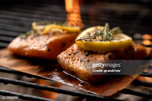 zwei zeder planke gegrillt lachs filets mit zitrone auf der oberseite und jumbo garnelen im hintergrund auf einem flammenden kohle grill - gegrillter lachs stock-fotos und bilder