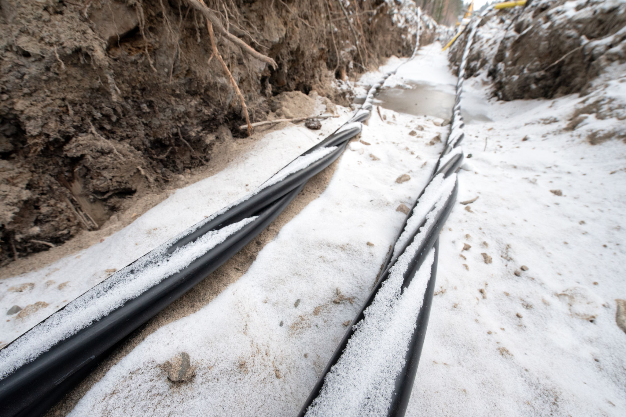 fiber optic winter