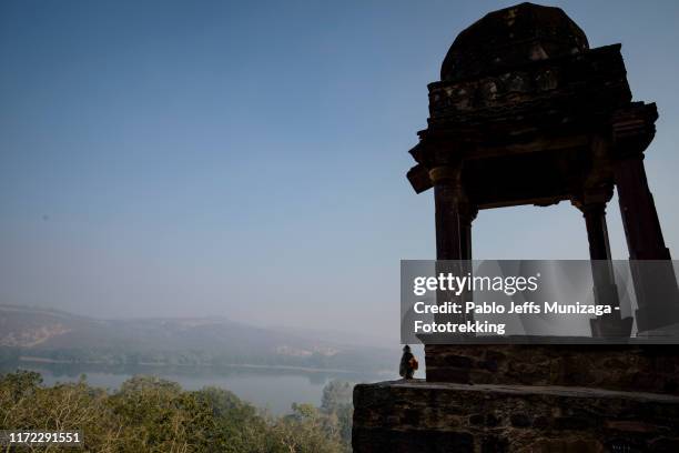 ranthambore fort, india. monkey and building - ranthambore fort stock pictures, royalty-free photos & images