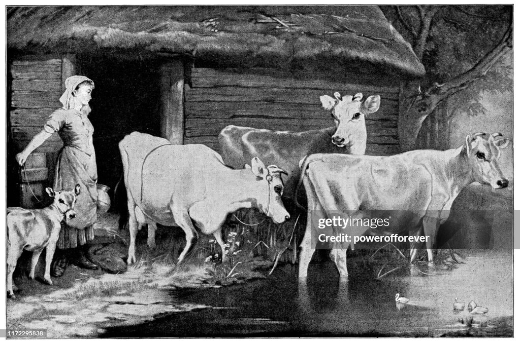 The Prize Jerseys by Edwin Douglas - 19th Century