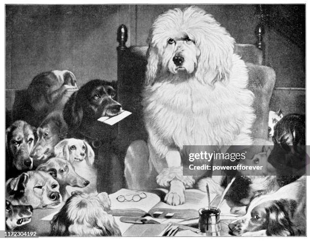 illustrations, cliparts, dessins animés et icônes de procès par jury ou mise en place de la loi par sir edwin henry landseer - 19ème siècle - chien humour