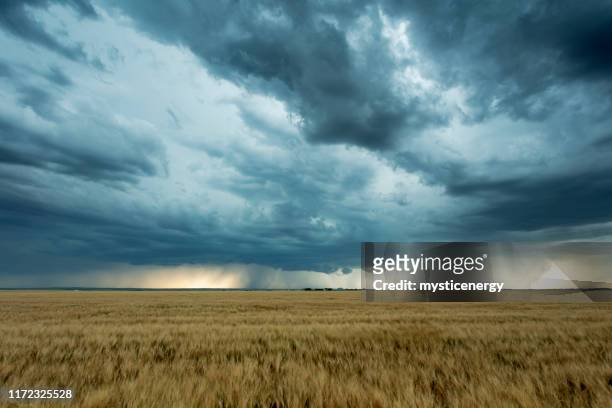 prateria storm saskatchewan canada - cielo variabile foto e immagini stock