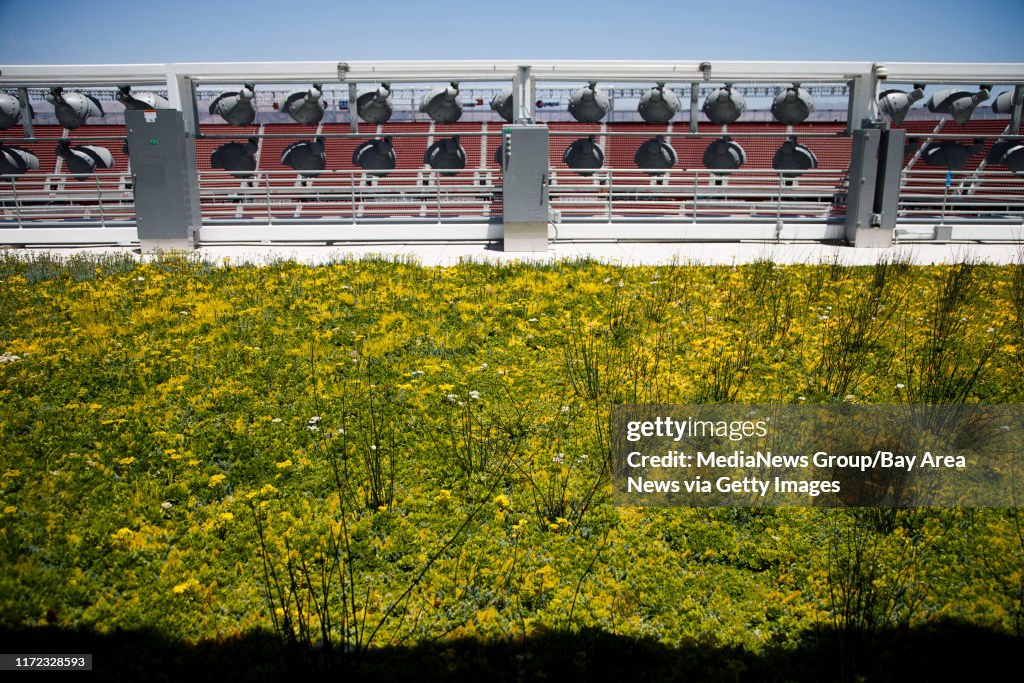 There are gardens at the roof level of the Levi's Stadium on June 16, 2014 in Santa Clara. With construction on the $1.3 billion Levi's Stadium expected to wrap by the end of the month, 49ers officials are working through a list of last-minute check-offs