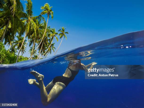 snorkeling near a tropical island. beautiful girl swims in the water. - scuba diving girl - fotografias e filmes do acervo