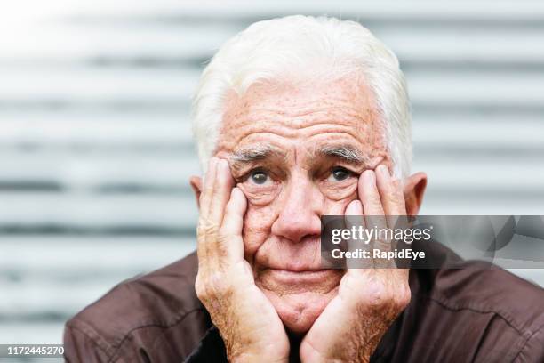 despairing old man, head in hands, looks at camera - sighing stock pictures, royalty-free photos & images