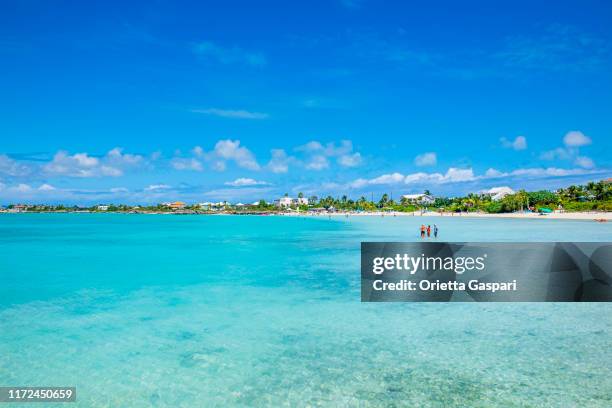 turks-en caicoseilanden, providenciales-sapodilla bay - providenciales stockfoto's en -beelden