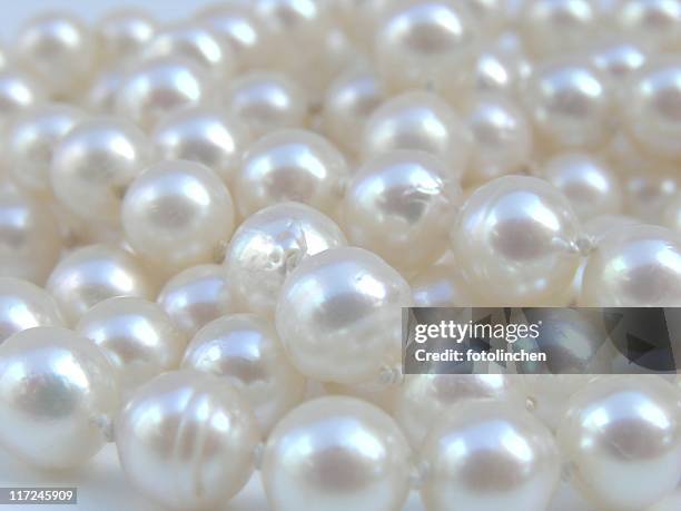 pearls - oyster pearl stock pictures, royalty-free photos & images