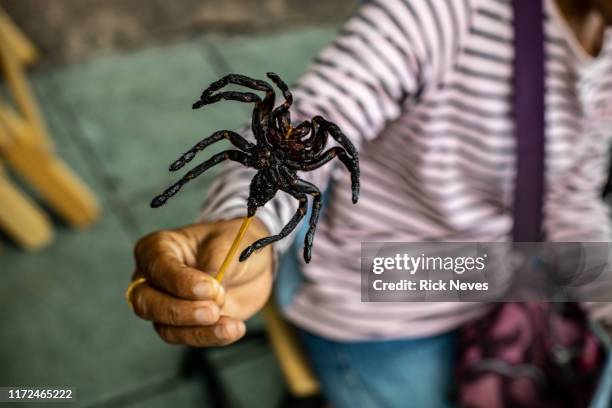 tarantula shish kebab - tarantula stock pictures, royalty-free photos & images