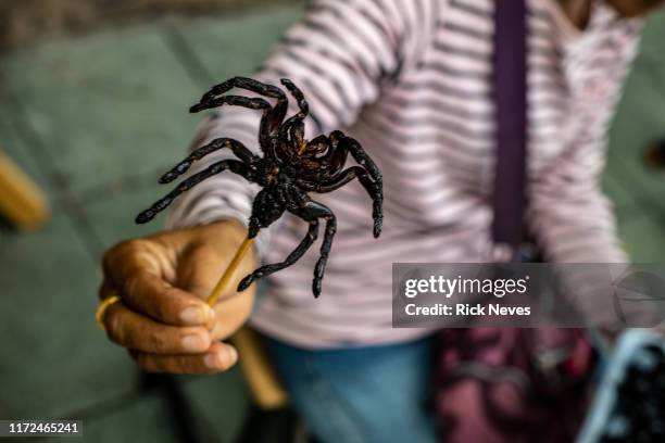 tarantula shish kebab - exoticism stock pictures, royalty-free photos & images