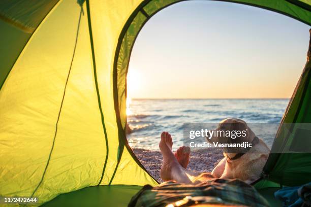 camping avec le crabot - tent barefoot friends photos et images de collection