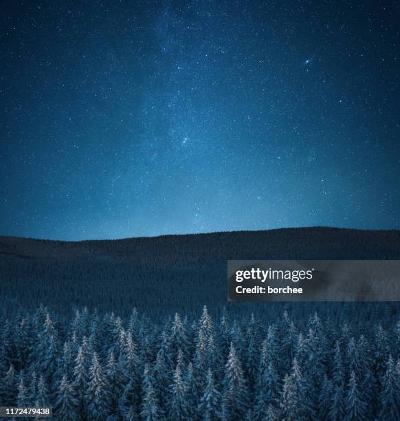 snowcapped forest under the stars - pine trees top view stock pictures, royalty-free photos & images