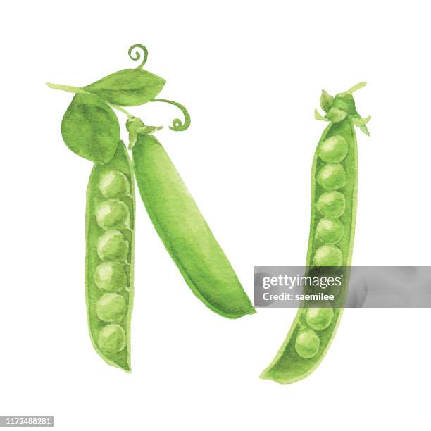 1 372点のエンドウ豆イラスト素材 Getty Images 1 372点のエンドウ豆イラスト素材 Getty Images
