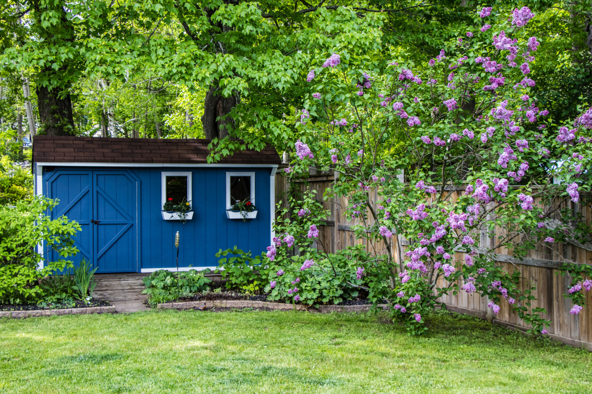 cottage garden