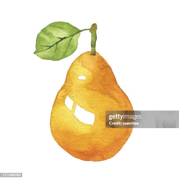 ilustraciones, imágenes clip art, dibujos animados e iconos de stock de pera de acuarela - pera