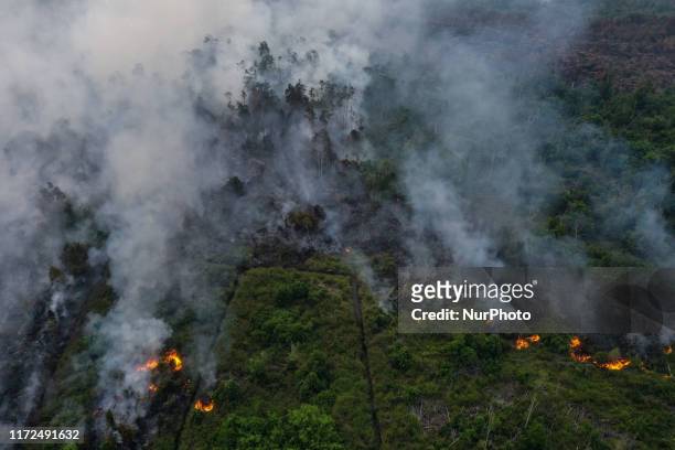 Smoke covers a forest during fires near Palangka Raya in Central Kalimantan province, Indonesia, September 29, 2019. Firefighters, military personnel...