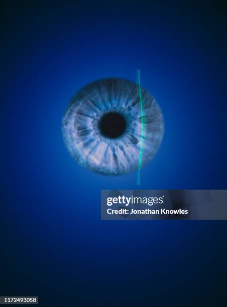 iris recognition eye ball - iris œil photos et images de collection