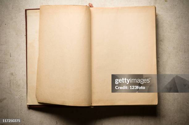 old book - blank pages in open book overhead view stock pictures, royalty-free photos & images