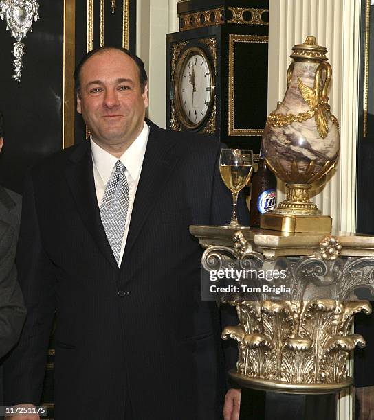 James Gandolfini during The Sopranos Cast Press Conference and Photocall at Atlantic City Hilton - March 25, 2006 at Atlantic City Hilton in Atlantic...