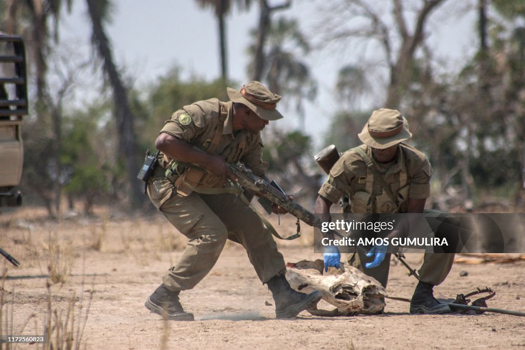 MALAWI-BRITAIN-ROYALS