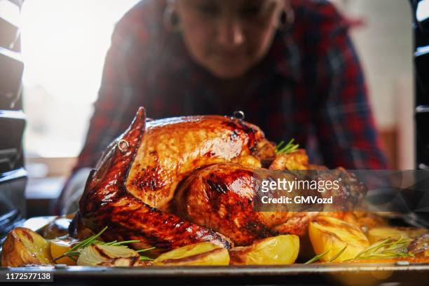 roasting stuffed turkey in the oven for holidays - chicken roasting oven stock pictures, royalty-free photos & images