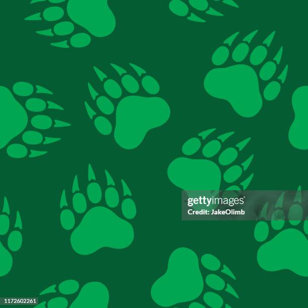 illustrations, cliparts, dessins animés et icônes de modèle d'impression de patte d'ours - bear feet