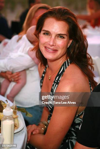 Brooke Shields during Hamptons Magazine Clambake Presented by Sapporo with Special Thanks to Locman Italy - July 23, 2006 at Dune Beach in...