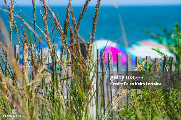 ocean city - ocean city maryland stock pictures, royalty-free photos & images