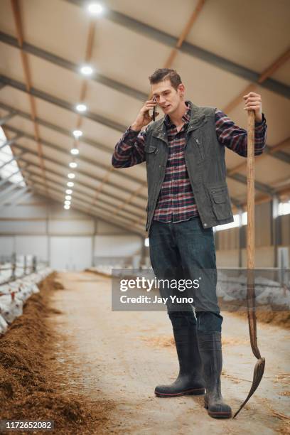 the farmer that everyone in town calls - goat pen stock pictures, royalty-free photos & images