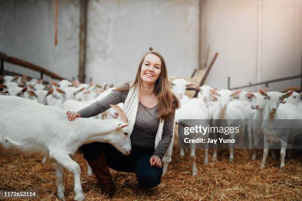 har du besökt vår mjölkgård? - farm woman bildbanksfoton och bilder