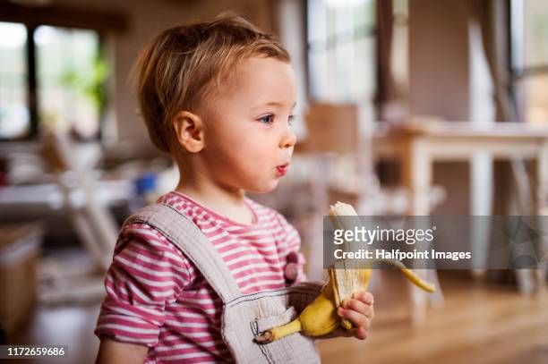 a small toddler girl indoors, eating banana fruit. - child eating a fruit stock pictures, royalty-free photos & images