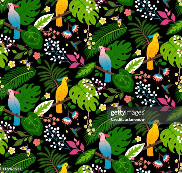 ilustrações, clipart, desenhos animados e ícones de teste padrão floral tropical sem emenda - hummingbird