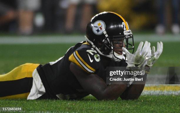 Mark Barron of the Pittsburgh Steelers reacts after dropping a pass that would have been an interception in the second half during the game against...