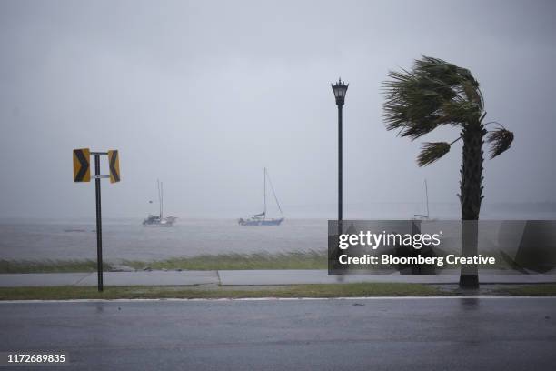 hurricane winds - hurricane season stock pictures, royalty-free photos & images