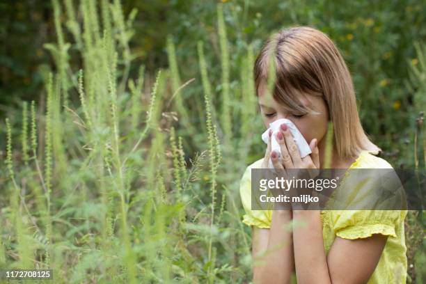 woman have a problem with pollen allergy - ambrosia stock pictures, royalty-free photos & images
