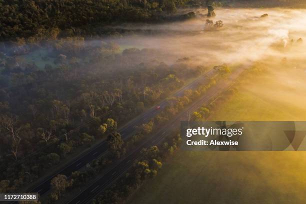 aerial - fog over country road in victoria australia on sunrise - victoria australia stock pictures, royalty-free photos & images