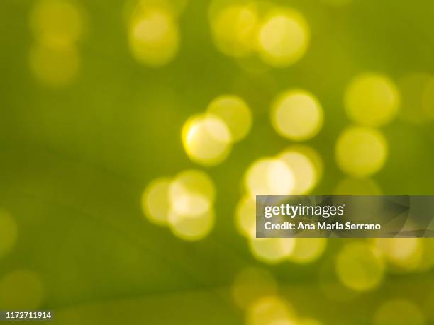 abstract nature bokeh background - suture - fotografias e filmes do acervo