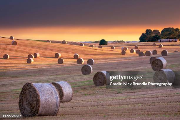 hay bales, yorkshire, uk - heu stock-fotos und bilder