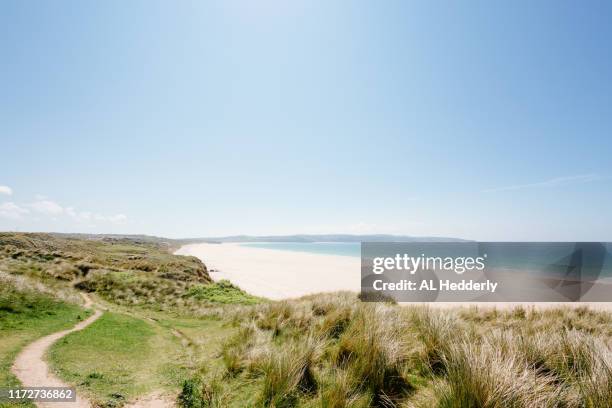 path through the sand dunes at gwithian towans - gwithian stock-fotos und bilder